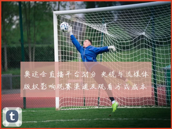 奥运会直播平台划分 央视与流媒体版权影响观赛渠道及观看方式成本