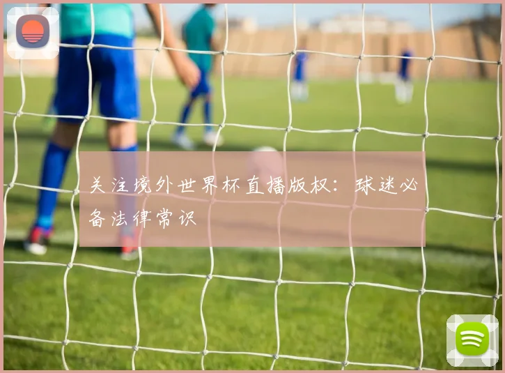 关注境外世界杯直播版权：球迷必备法律常识