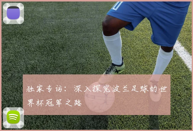 独家专访:深入探究波兰足球的世界杯冠军之路