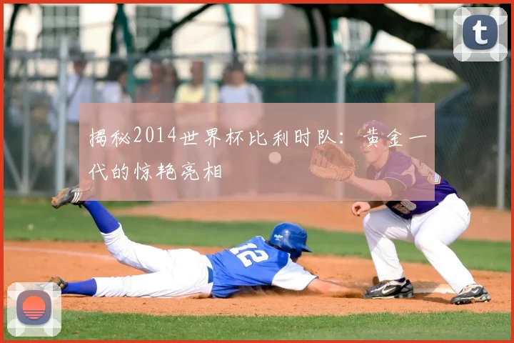 揭秘2014世界杯比利时队：黄金一代的惊艳亮相