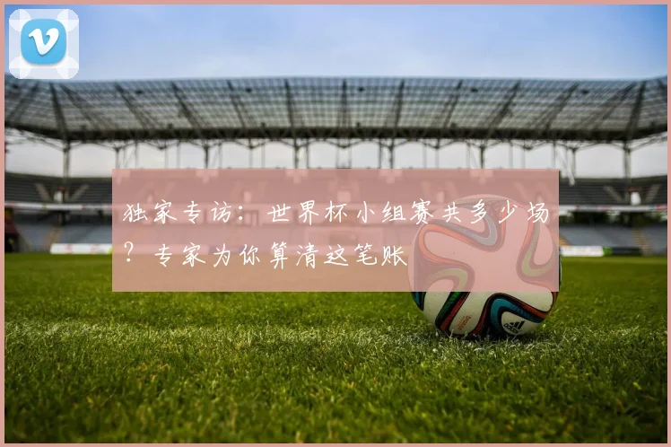 独家专访：世界杯小组赛共多少场？专家为你算清这笔账