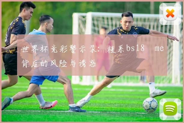 世界杯竞彩警示录：桂系bs18婰me背后的风险与诱惑